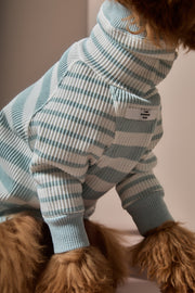 Turquoise and Cream Striped Turtleneck Sweater REED