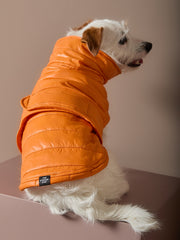 Orange Puffer Turtleneck Jacket EMBER