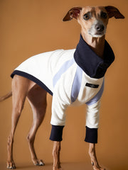 Italian Greyhound / Whippet Tricolor Turtleneck Sweater EMILY