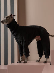 Italian Greyhound / Whippet Black Sherpa Jumpsuit Roma - PREORDER