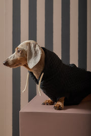 Dachshund Black Textured Hooded Vest BIRCH