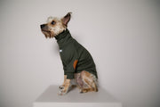 Standard Olive Green Ribbed Sweater with Patches MIST