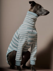 Italian Greyhound / Whippet Turquoise and Cream Striped Turtleneck Sweater REED