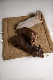 Beige Travel Mat PINE