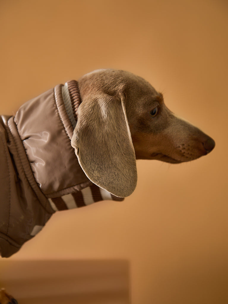 Dachshund Taupe Waterproof Turtleneck Jacket RUE