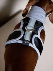 Dachshund Black Quilted Turtleneck Harness GADE