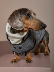 Dachshund Gray Herringbone Jacket TWILL