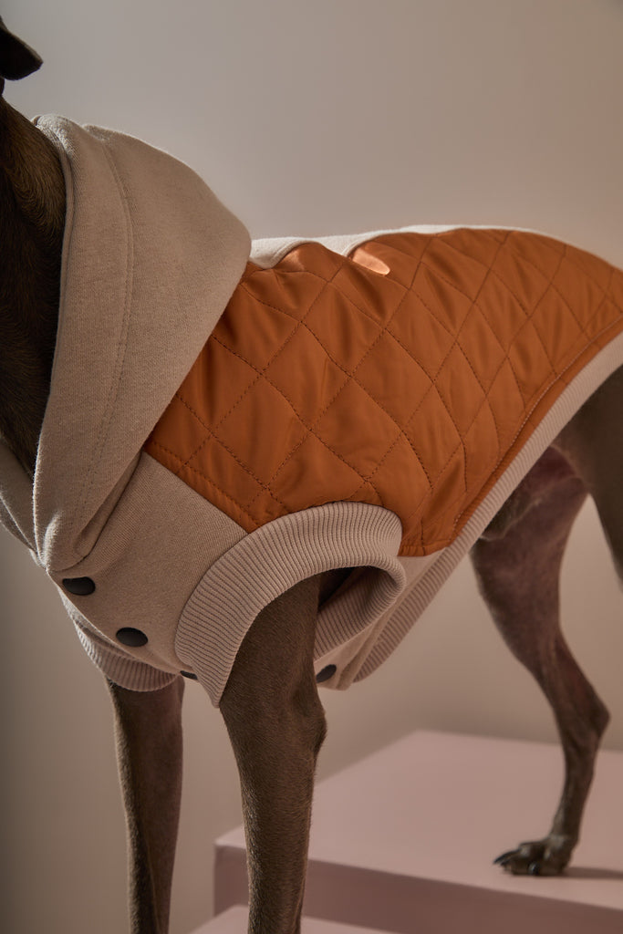 Quilted Hooded Vest for Italian Greyhound and Whippet – The Striped Dog