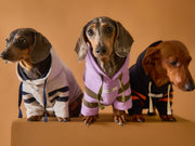 Italian Greyhound / Whippet Lilac Hoodie BRIE