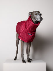 Italian Greyhound / Whippet Quilted Turtleneck Coat VELA
