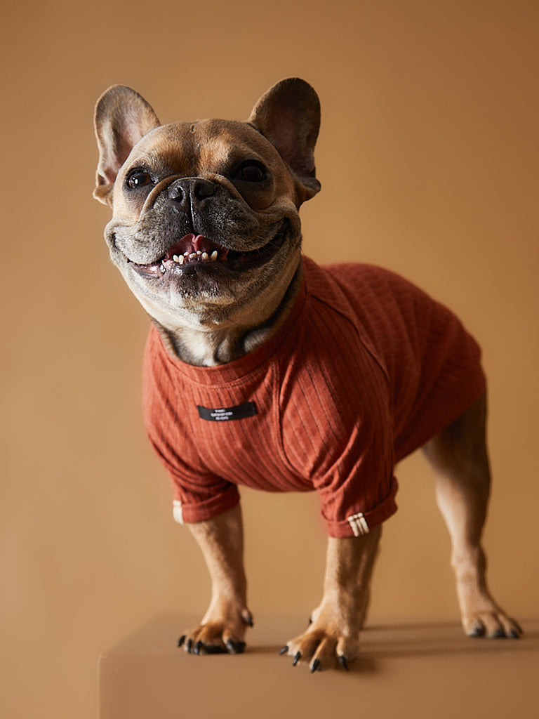 Terracotta Ribbed T-shirt CLAIRE