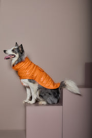 Orange Puffer Turtleneck Jacket EMBER