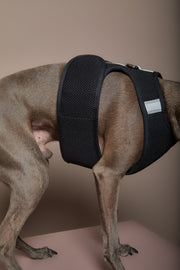 Italian Greyhound / Whippet Black Neoprene Harness DRIFT