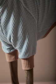 Italian Greyhound / Whippet Dust Blue Waffle Sweater GRAIN