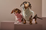 Dachshund Color-Block Turtleneck Vest SHEAR