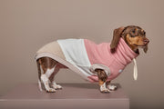 Dachshund Color-Block Turtleneck Vest SHEAR