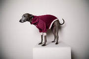 Italian Greyhound / Whippet High-Neck Burgundy Sweater DUSK
