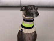 Bright Multicolored Striped Knit Scarf NICE