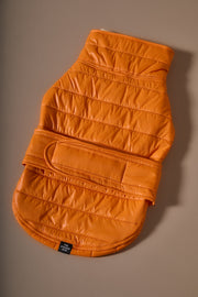 Dachshund Orange Puffer Turtleneck Jacket EMBER