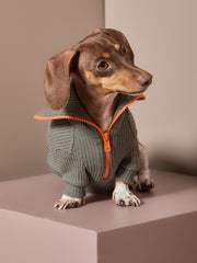 Dachshund Military Green Sweater with Zipper KNIT