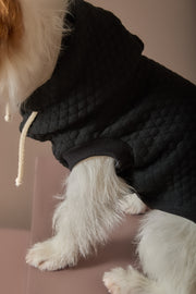 Black Textured Hooded Vest BIRCH