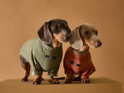 Dachshund Terracotta T-shirt CLAIRE