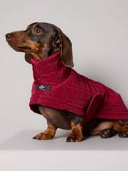 Dachshund Quilted Turtleneck Coat VELA