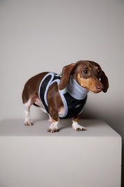 Dachshund Black Quilted Turtleneck Harness GADE
