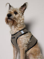 Standard Brown & Black Mesh Harness COBBLESTONE