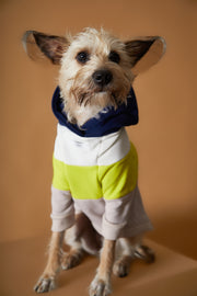 Dark Color-Blocked Hoodie MACARON