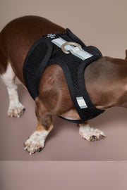 Black Neoprene Harness DRIFT