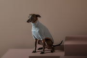 Italian Greyhound / Whippet Dust Blue Waffle Sweater GRAIN