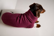 Dachshund High-Neck Burgundy Sweater DUSK