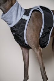 Italian Greyhound / Whippet Black Quilted Turtleneck Harness GADE