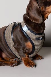 Dachshund Brown & Black Mesh Harness COBBLESTONE