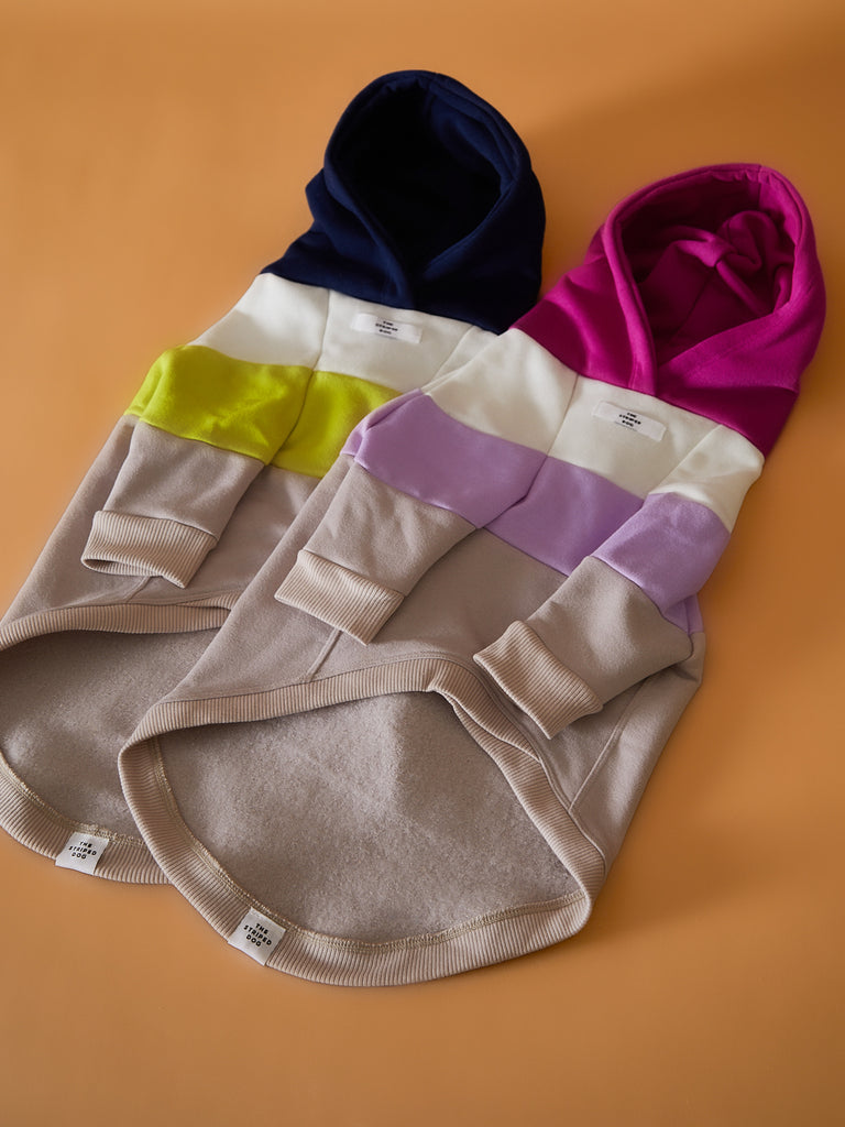 Color-blocked hoodie for dogs