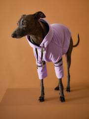 Italian Greyhound / Whippet Lilac Hoodie BRIE