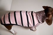 Dachshund Pink and Black Striped Sweater LINE