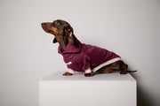 Dachshund High-Neck Burgundy Sweater DUSK