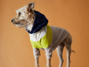 Dark Color-Blocked Hoodie MACARON