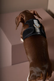 Black Neoprene Harness DRIFT