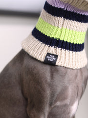 Bright Multicolored Striped Knit Scarf NICE