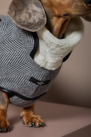 Dachshund Gray Herringbone Jacket TWILL