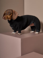 Dachshund Black Sherpa Jumpsuit Roma
