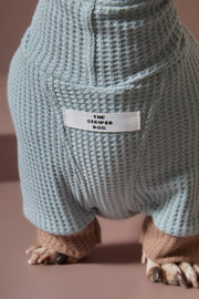 Dachshund Dust Blue Waffle Sweater GRAIN