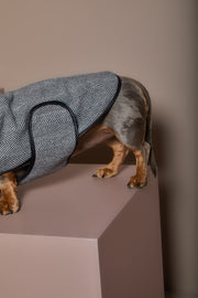 Dachshund Gray Herringbone Jacket TWILL
