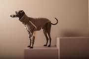 Italian Greyhound / Whippet Taupe Turtleneck Sweater with Patches CAIRO