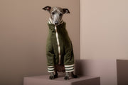 Italian Greyhound / Whippet Green Quilted Bomber Jacket MOSS