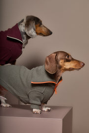 Dachshund Military Green Sweater with Zipper KNIT