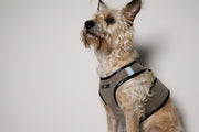 Standard Brown & Black Mesh Harness COBBLESTONE